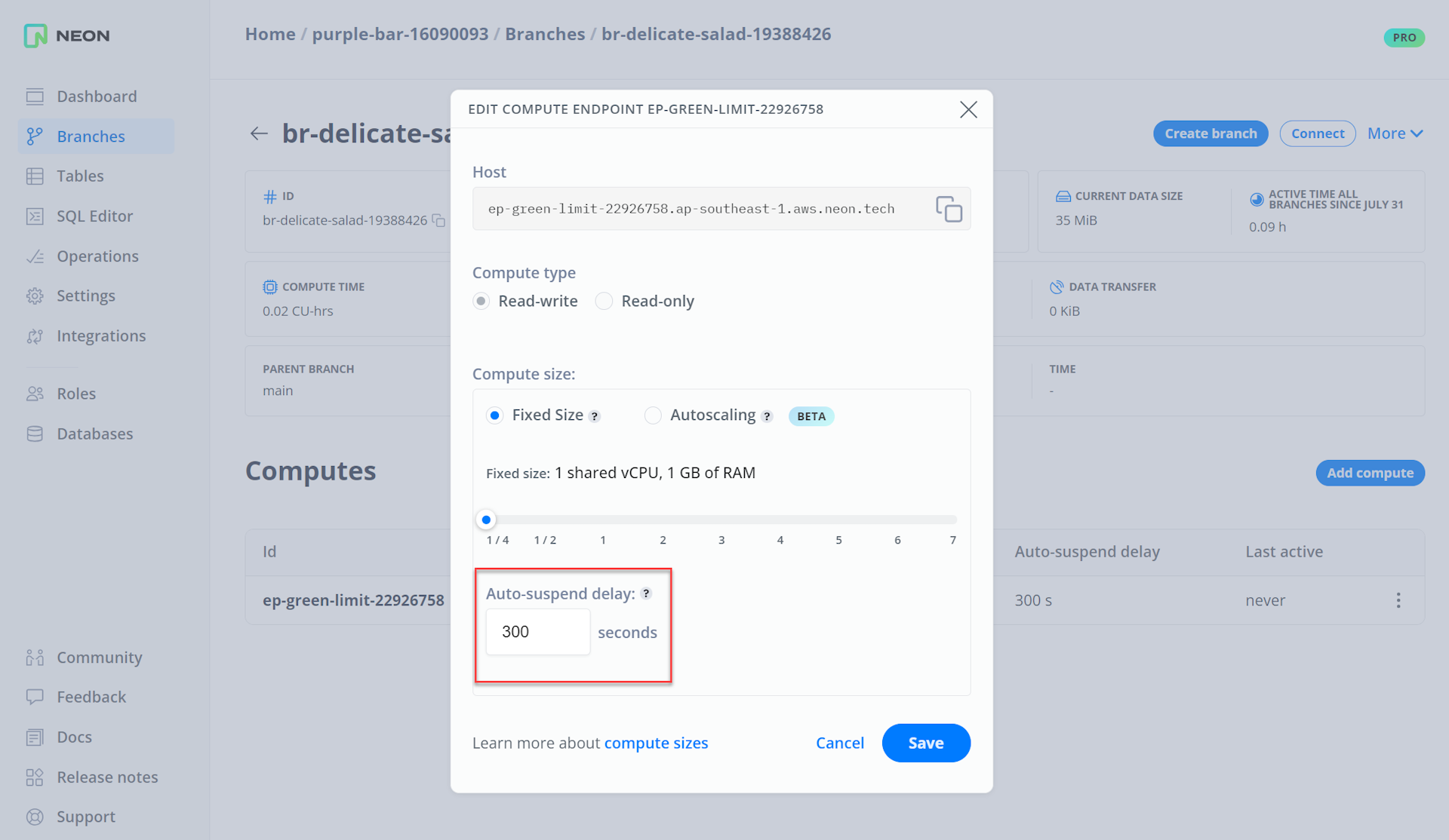 Auto-suspend delay